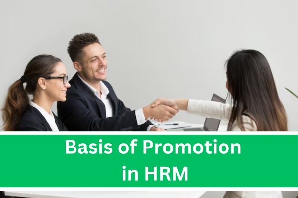 Basis of Promotion in HRM: Merit, Seniority Based